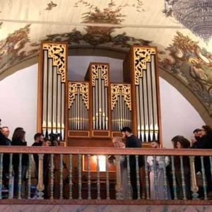 Órgão da Igreja de Serreleis