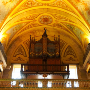 Órgão da Igreja Matriz de Valongo